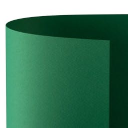 Cartoncino Colorato Favini Prisma 220 g/m&sup2; Verde 50X70 Foto prodotto