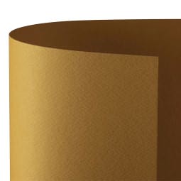 Cartoncino Colorato Favini Prisma 220 g/m&sup2; Tabacco 70x100 Cm Foto prodotto